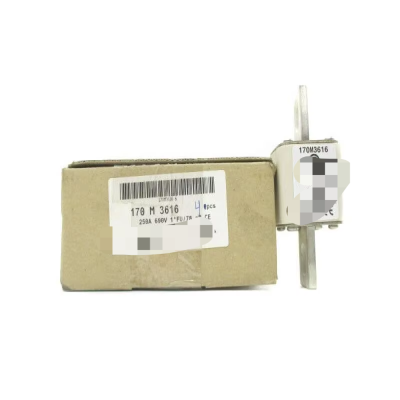 Bussmann 170M3616 700V 250A New Original Ready Warehouse Industrial Automation PLC Programming Controller