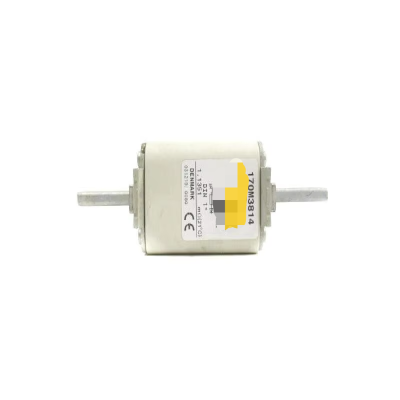 Bussmann 170M3814 700V 160A New Original Ready Warehouse Industrial Automation PLC Programming Controller
