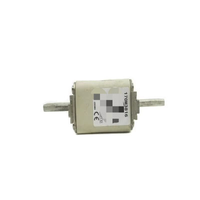 Bussmann 170M3816 700V 250A New Original Ready Warehouse Industrial Automation PLC Programming Controller