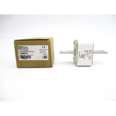 Bussmann 170M6216 690V 1250A New Original Ready Warehouse Industrial Automation PLC Programming Controller