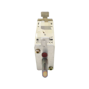 ferraz Shawmut Nh000 500v 63a Nsnp New Original Ready Stock Industrial Automation Pac Dedicated Plc Controller