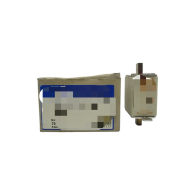 ferraz Shawmut Nhg00 7970.10025 500v 100a (pkg of 3) Nsmp New Original Ready Stock Industrial Automation Pac Dedicated Plc Pro