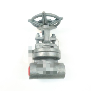 flowserve Sw-13111 Manual Steel Socket Weld Wedge Gate 1/2in 800 New Original Ready Stock Industrial Automation Pac Dedicated Plc Program