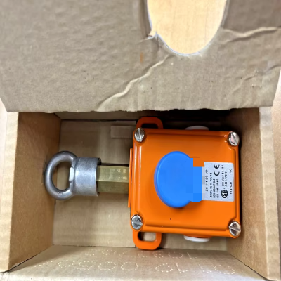 SCHMERSEL ZS44120VD Emergency Stop Safety Pull Switch 400V 6A AC-15 NEW in Box New Original Ready Stock Industrial Automation PAC Dedicate